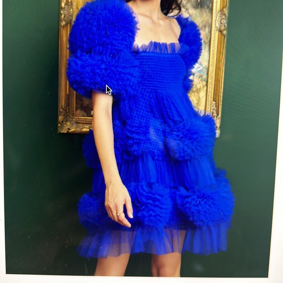 Sister Jane DREAM Whitney Tulle Ruffle Mini Dress - Picture 6 of 9